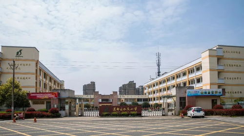 喜报 莲都区新增8家餐饮服务食品安全a级单位