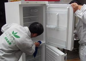 大连创业新选择 开设绿之源家政保洁店的机遇与挑战