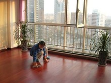 大连家政服务指南 精选公司电话与专业服务解析