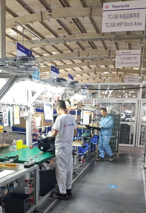 大连双喜 智能制造树标杆，家政服务暖万家